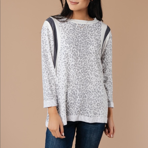 Racing Stripes Animal Print Top in Taupe - Picture 15 of 15